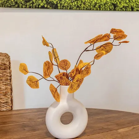 Apartment Auszeit & Erholung Im Odenwald Furth (Hessen)