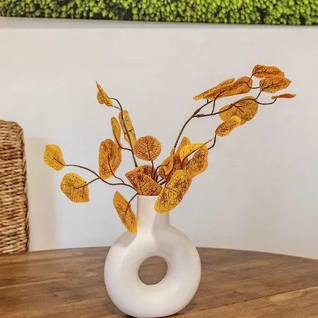 Auszeit & Erholung Im Odenwald Apartment *